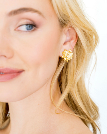 Susan Shaw Magnolia Studs