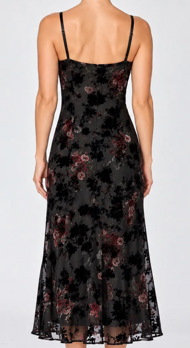 Anthem Lace Trim Velvet Burnout Dress